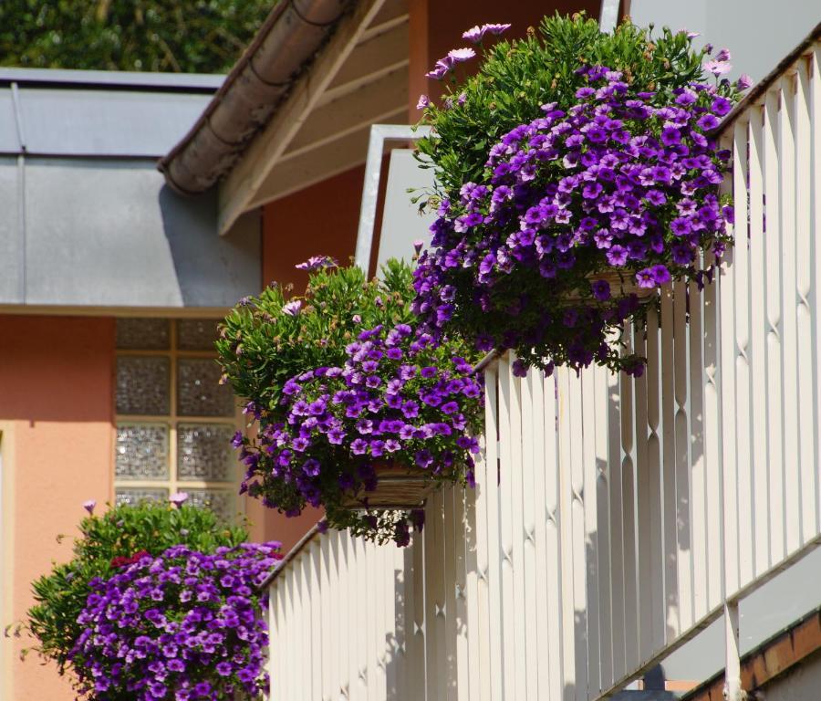 Hotel Morgensonne Badenweiler Exterior photo